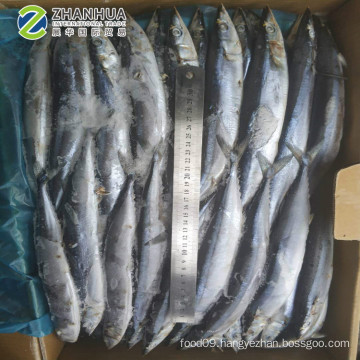 Frozen Pacific Saury  High Quality from China